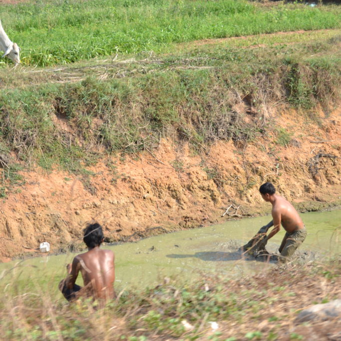 Vue quotidienne, Laos